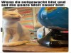 weiter