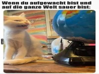Morgens mit Weltkrisen starten