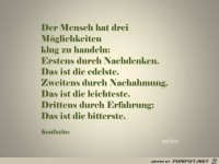 Der Mensch