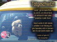 totgeschwitzt gizmootje