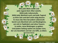 Wie jede Bluete welkt