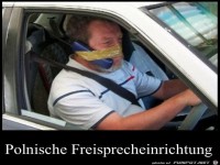 Polnische Freisprecheinrichtung