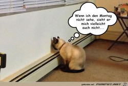 Wenn-ich-den-Montag.jpg auf www.funpot.net