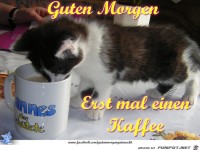 Guten Morgen