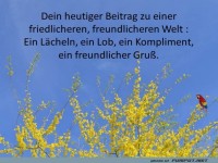Dein heutiger Beitrag