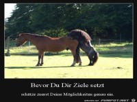 M�glichkeiten absch�tzen