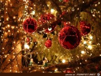 Sch�ne Weihnachtskugeln
