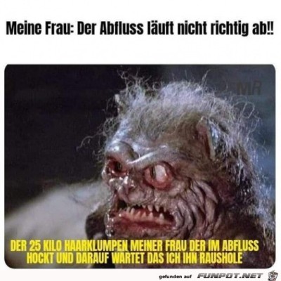 Haarklumpen-im-Abfluss.jpg von Hannah