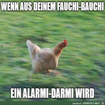 Jetzt-aber-schnell.jpg von Rebecca