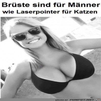 Laserpointer.jpg von Alya