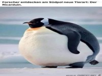 Neue Tierart