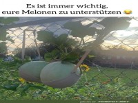 Melonen unterst�tzen