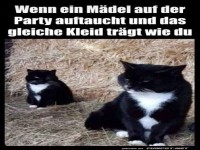 Das ist ja schrecklich