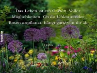 Das Leben ist ein Garten