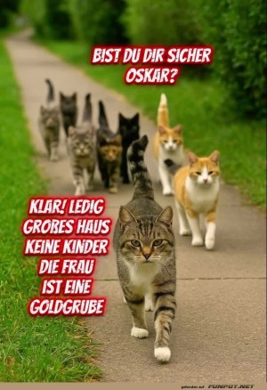Bist-du-sicher?.jpg auf www.funpot.net