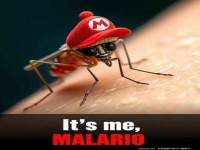 Lustige M�cke mit roter M�tze als Malario