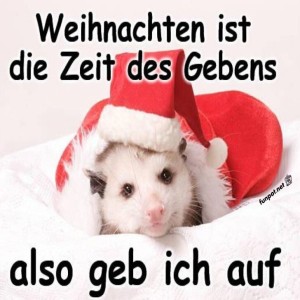 Opossum-gibt-an-Weihnachten-auf.jpg von Mattis