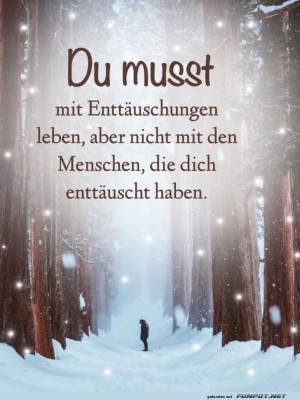 Schneewandern-mit-Lebensweisheiten.jpg auf www.funpot.net