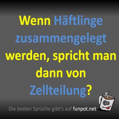 Zellteilung-auf-die-lustige-Art!.jpg von Fossy