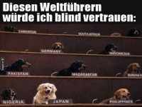 Hunde übernehmen die Weltpolitik!