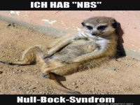 Erdm�nnchen und das NBS-Ph�nomen!