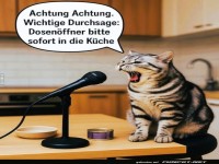 Katzenkonferenz: Die ultimative Ansage!
