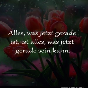 Tulpen-Poesie:-Zen-im-Blumenbeet.jpg von Lucie37