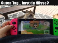 Zocker-Eichh�rnchen auf Mission!