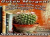 weiter
