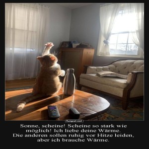 Wenn-Katzen-Sonnenanbeter-werden.jpg von Leona
