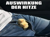 Pocket-Sized Hitzehelfer!