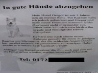 in-gute-haende-abzugeben