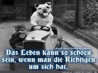 Das Leben kann so schn sein