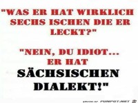nein-du-idiot