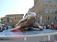 Schildkroetenreiter2