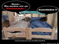 Mausi was machen wir