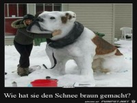 Brauner Schnee