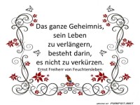 Das ganze Geheimnis