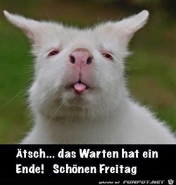 Freitag.jpg auf www.funpot.net