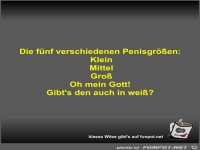 Die f�nf verschiedenen Penisgr��en