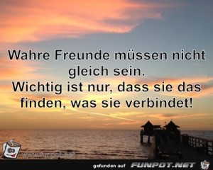Wahre-Freunde-müssen-nicht-gleich-sein.Wichtig-ist-nur,-da.jpg auf www.funpot.net