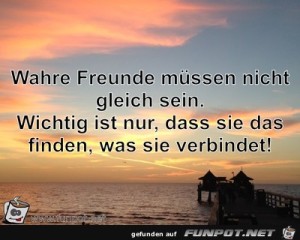 Wahre-Freunde-mssen-nicht-gleich-sein.Wichtig-ist-nur,-da.jpg auf www.funpot.net