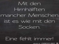 Die Hirnh�lften mancher Menschen