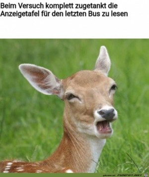 Vernebelter-Blick.jpg auf www.funpot.net