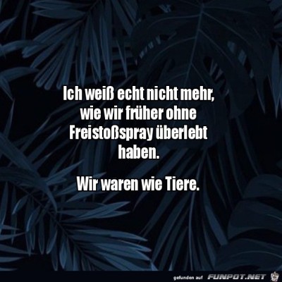 Das-Freistoßspray.jpg von Marleen