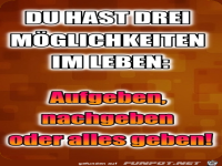 Du hast drei Moeglichkeiten im Leben