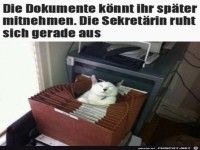 Die Sekret�rin schl�ft