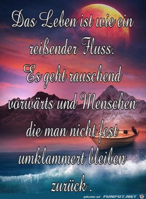 Das-Leben-ist-wie-ein-reiender-Flu.jpg auf www.funpot.net