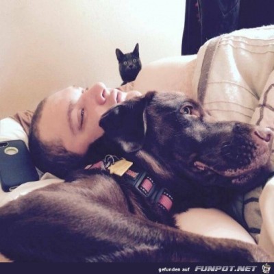 Das-gefällt-der-Katze-nicht.jpg von Luka