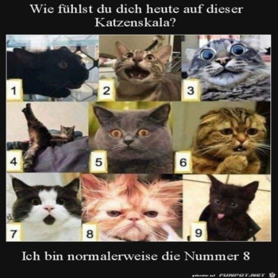 Wie-f&uuml;hlst-du-dich-heute?.jpg von Randy